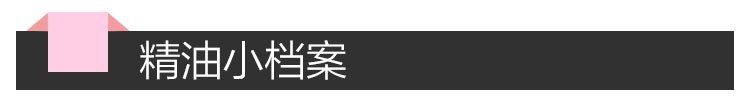 小标题 精油档案.jpg