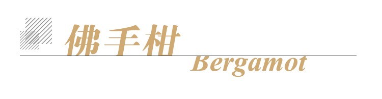 佛手柑单方标题.jpg