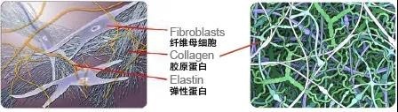 微信图片_20200722100432.jpg