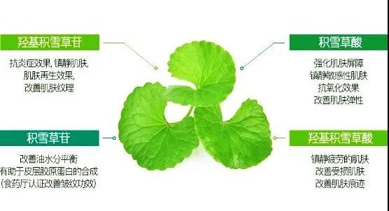 微信图片_20200722100305.jpg