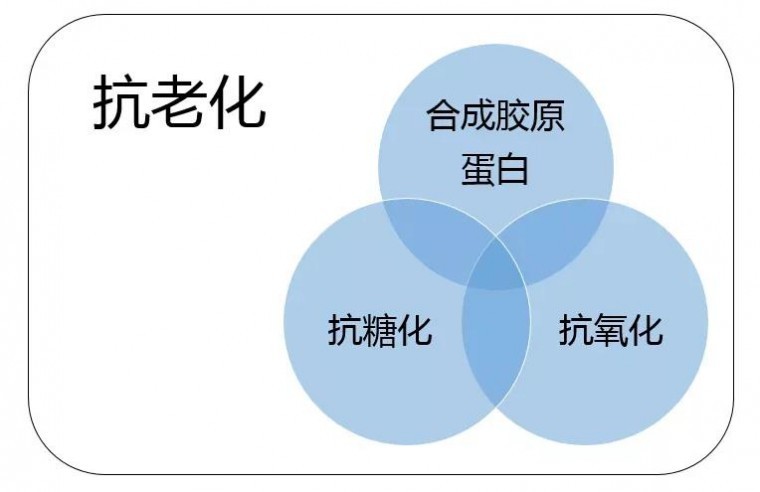 微信图片_20200724102846.jpg