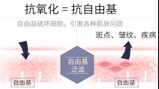 微信图片_20200724102915.jpg