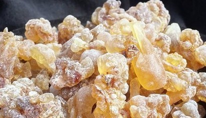 印度乳香Frankincense-Boswellica-Serrata2-e1451883129572.jpg
