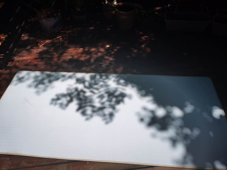 微信图片_20200512162955.jpg