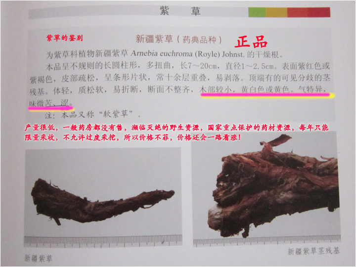 紫草辨别.png
