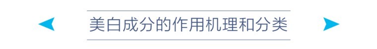 微信图片_20200921112841.jpg