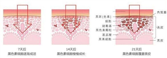 微信图片_20200921112906.jpg