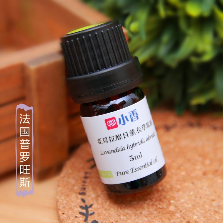 亚碧拉醒目薰衣草.jpg