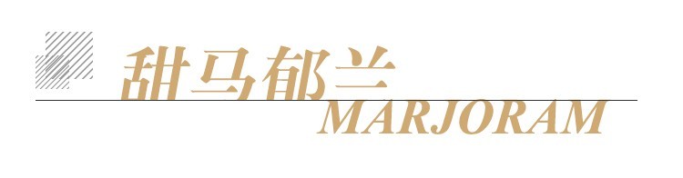 甜马郁兰 单方标题.jpg