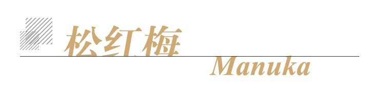 松红梅单方标题.jpg