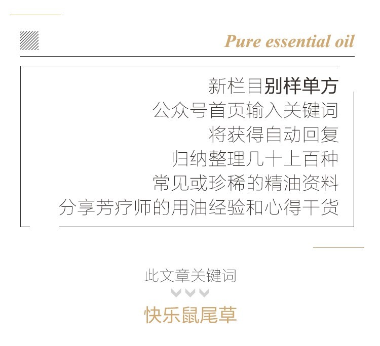 快乐鼠尾草关键词.jpg