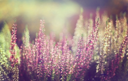150031wpuoz2o9o8p1q8z6.jpg
