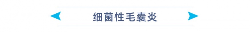 细菌性毛囊炎 标题.jpg