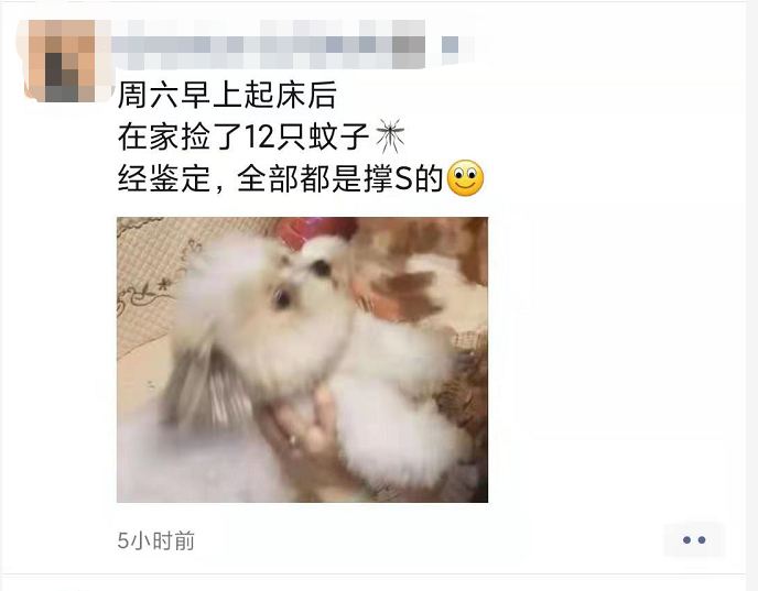 微信图片_20210329162814.png
