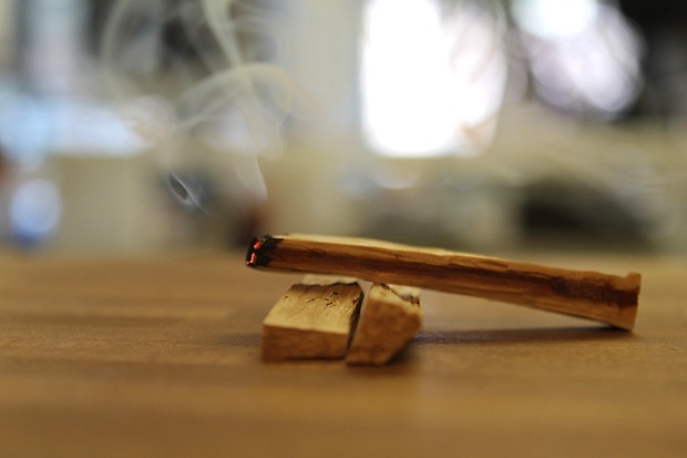 秘鲁圣木Palo-Santo.jpg