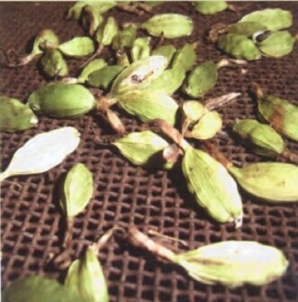 豆蔻精油