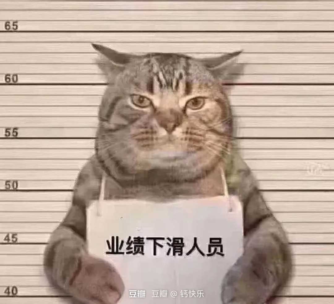 162956190348645580.jpg