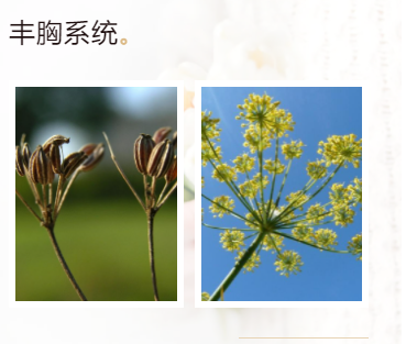 微信图片_20210824145723.png