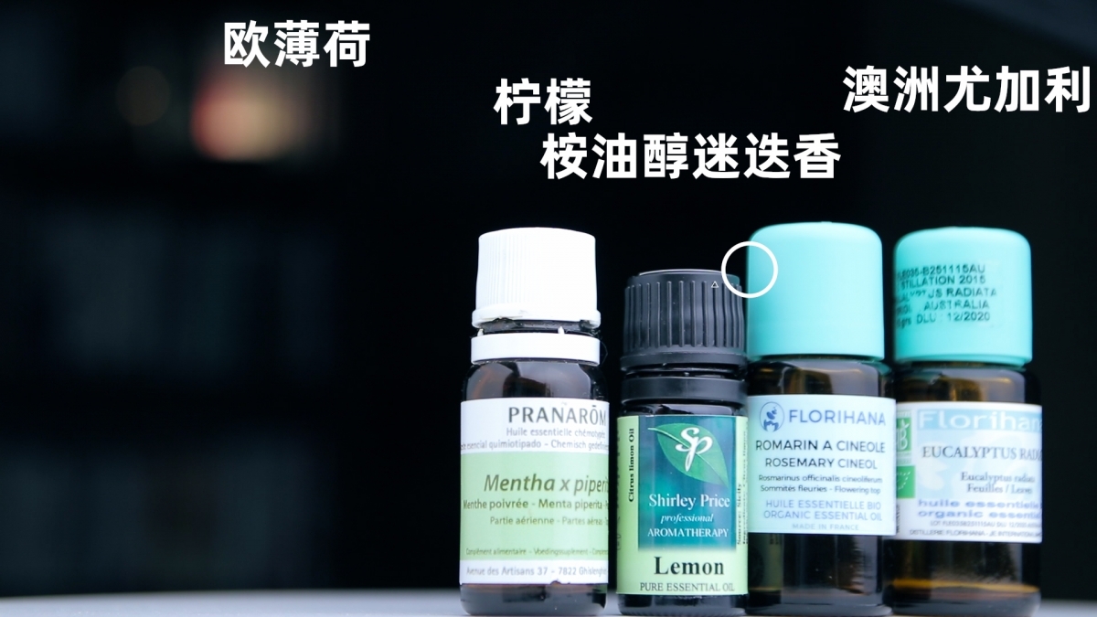 欧薄荷 柠檬 迷迭香 尤加利.jpg