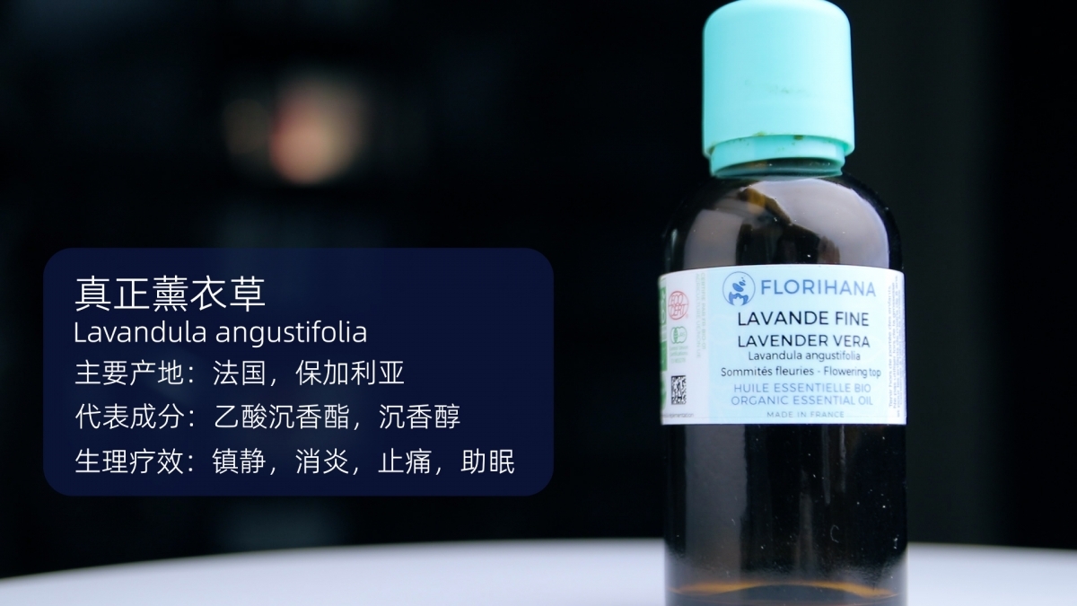 真正薰衣草.jpg