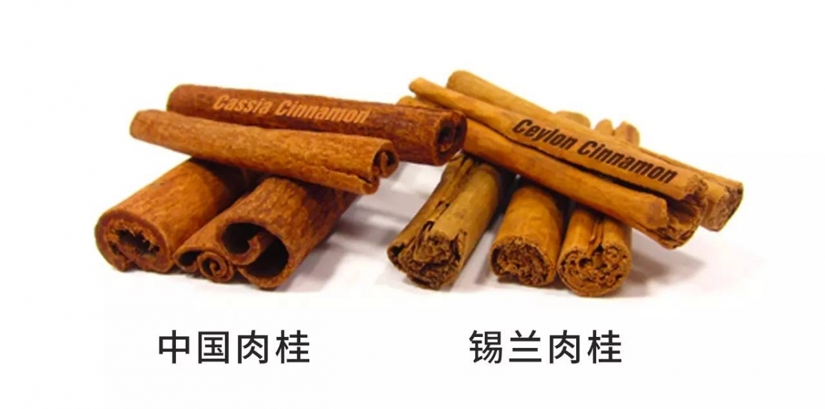 肉桂.jpg