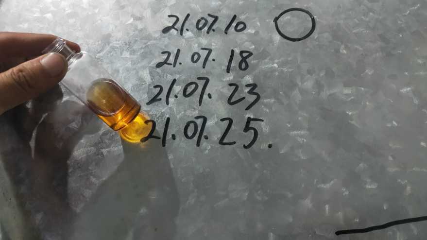 1627636981379797.jpeg