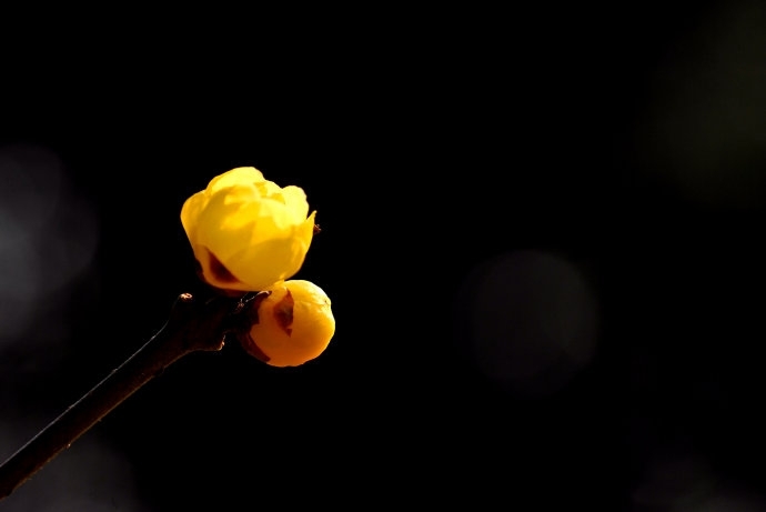 src=http___s9.sinaimg.cn_mw690_42a95996nd0a39ef838c8&amp;690&amp;refer=http___s9.sin.jpg