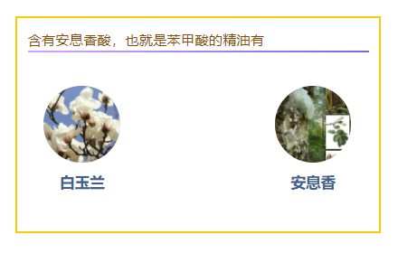 下载 (1).png