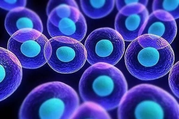 src=http___5b0988e595225.cdn.sohucs.com_images_20170929_399213bac7fb4cb0b08d7ce1.jpg