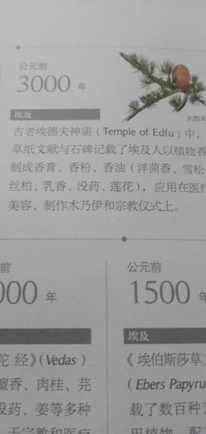 164557527906651.jpeg