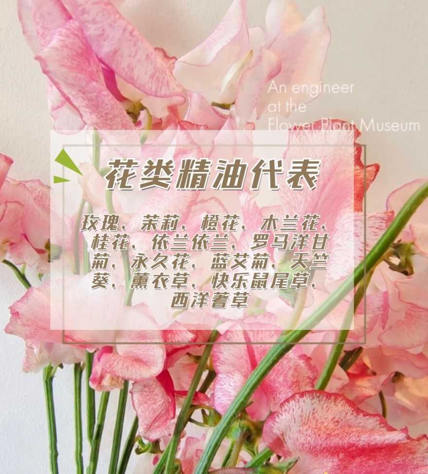 1645844456575715.jpeg
