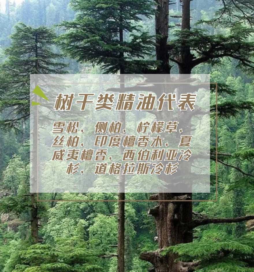 1645844456700716.jpeg