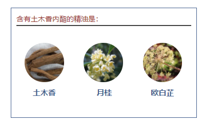 下载 (1).png