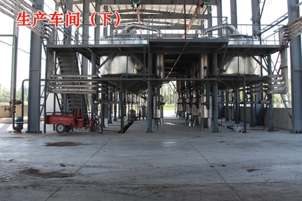 IMG_0822 副本-3.JPG