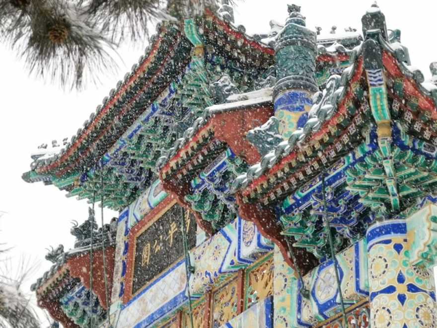 1644755344198826343.jpg