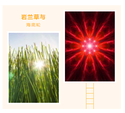 下载 (1).png