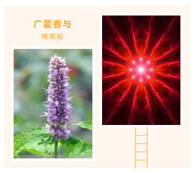 下载.png