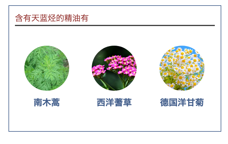 下载.png