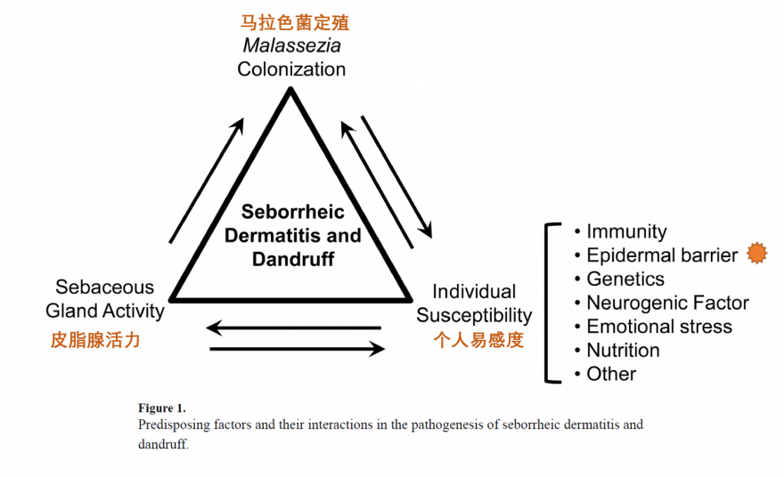 3factors for DD.png