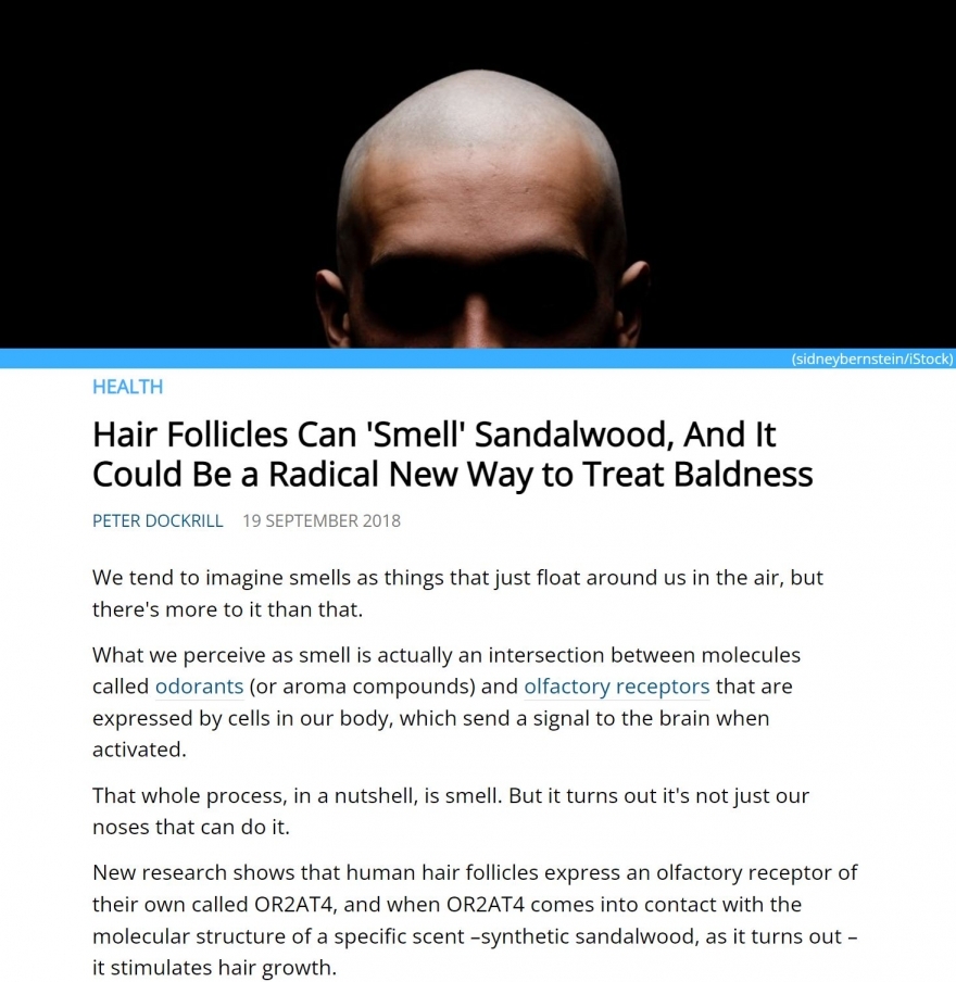 OR for baldness.JPG