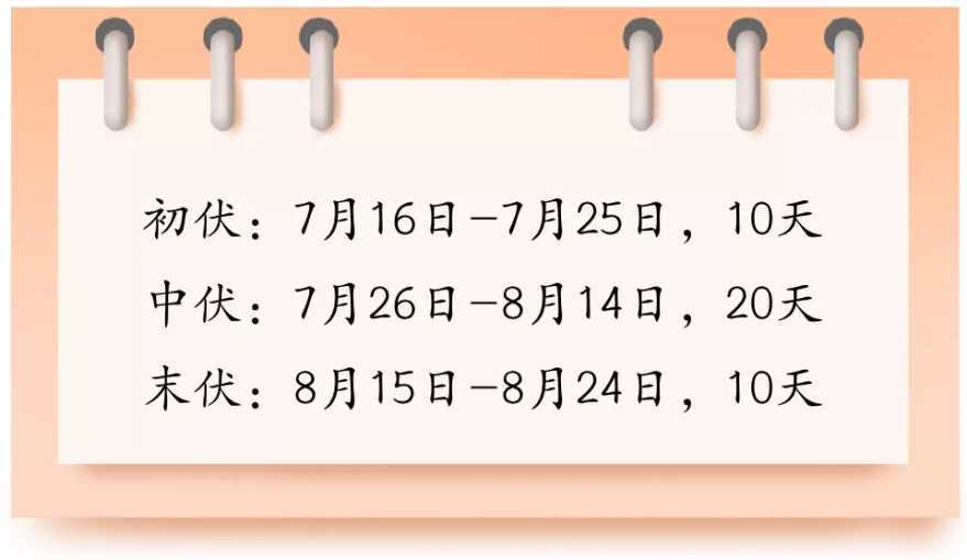 1657926660289422300.jpg