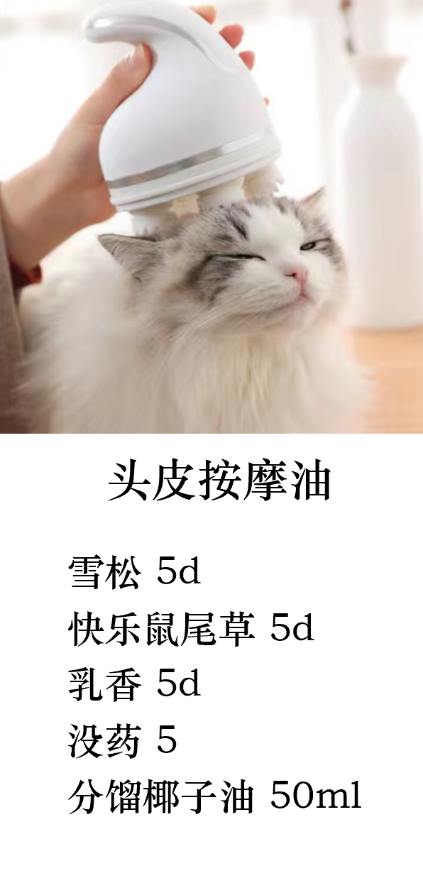 头皮油浴.png