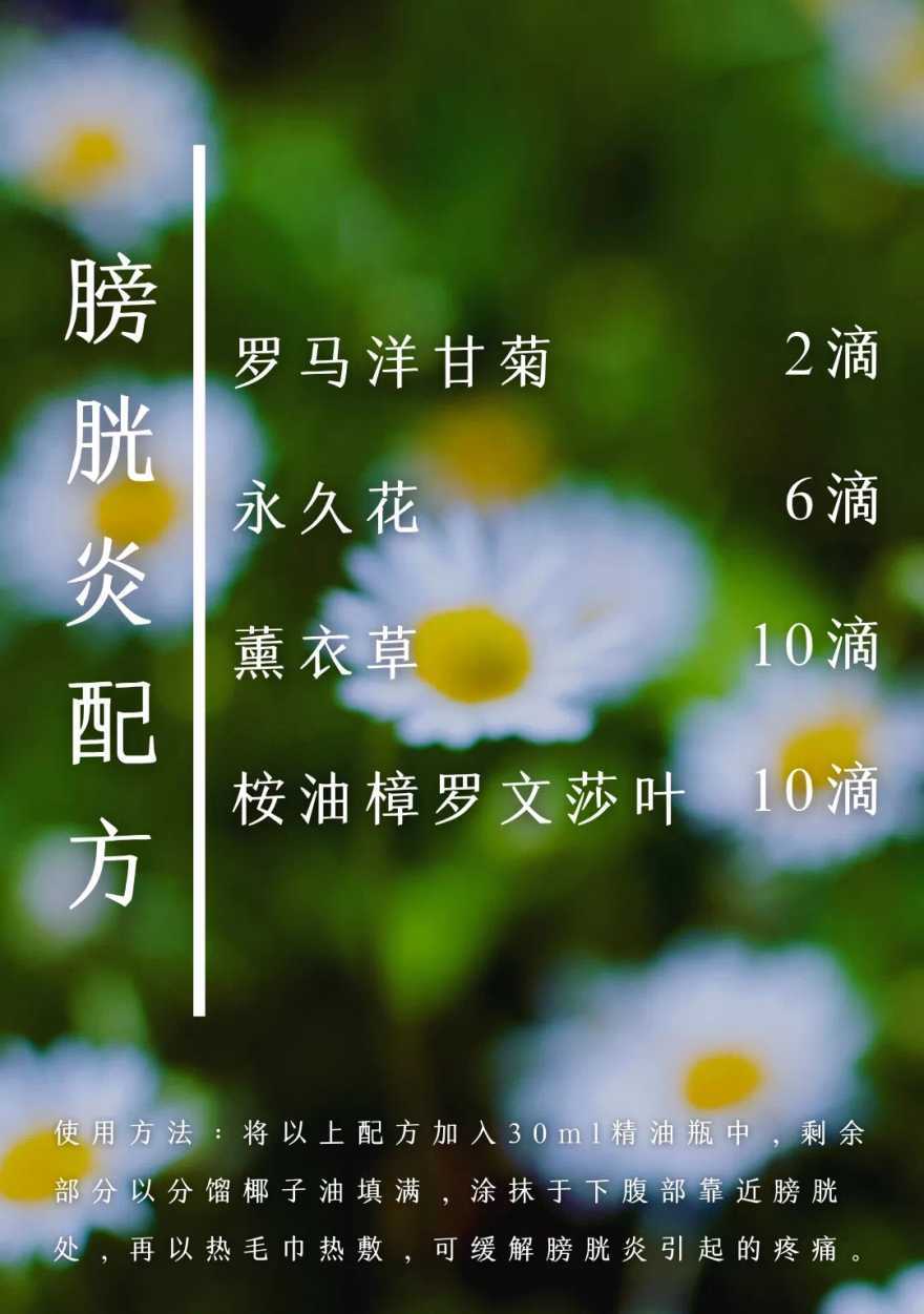 1678584319135762298.jpg