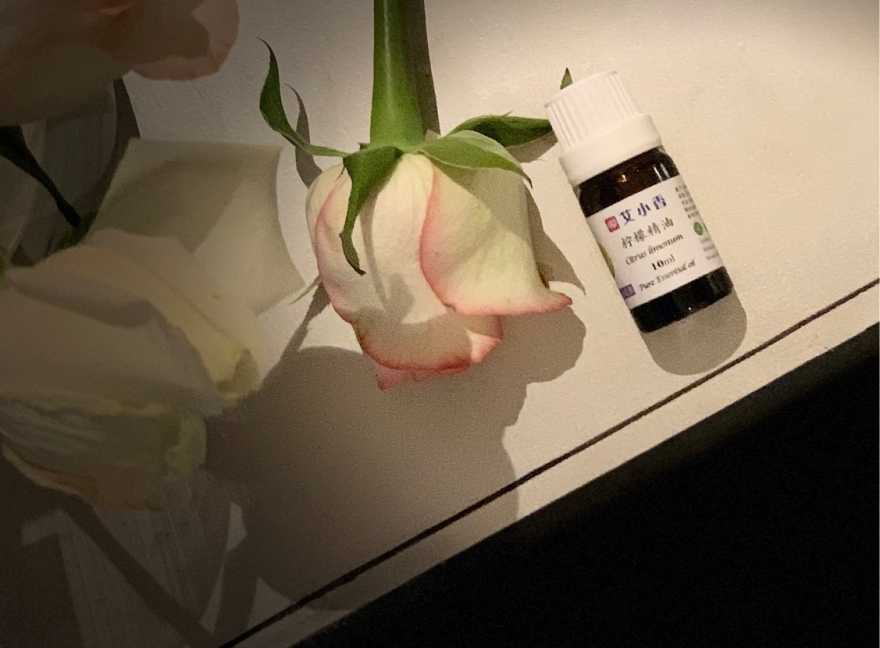 1681123600173483925.jpg