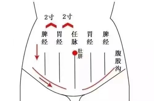 腹部