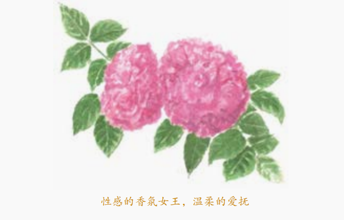 下载.png