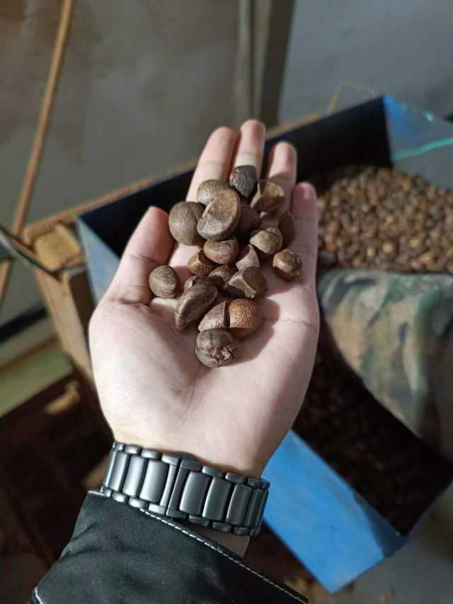 1670297175007205.jpeg