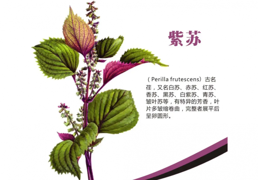 微信图片_20230614094519.png