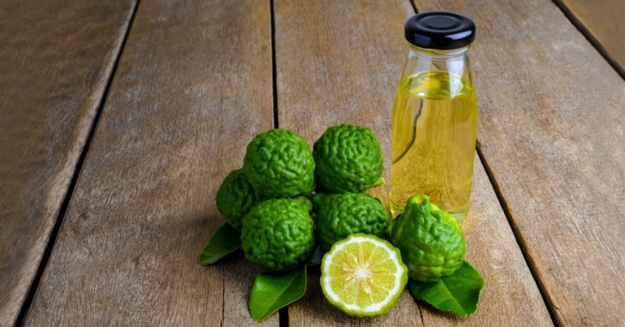 Bergamot-Essential-Oil-Effects-and-Efficacy-1024x536.jpg