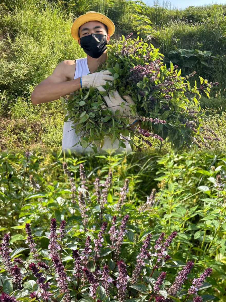 1688528150466445.jpeg